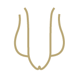 Circunsición - Urólogos Acuña